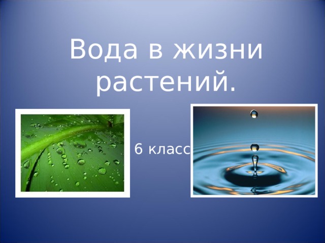 Вода в жизни растений. 6 класс 