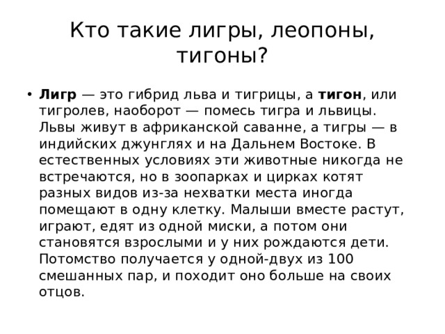 Кто такие лигры, леопоны, тигоны? Лигр — это гибрид льва и тигрицы, а тигон , или тигролев, наоборот — помесь тигра и львицы. Львы живут в африканской саванне, а тигры — в индийских джунглях и на Дальнем Востоке. В естественных условиях эти животные никогда не встречаются, но в зоопарках и цирках котят разных видов из-за нехватки места иногда помещают в одну клетку. Малыши вместе растут, играют, едят из одной миски, а потом они становятся взрослыми и у них рождаются дети. Потомство получается у одной-двух из 100 смешанных пар, и походит оно больше на своих отцов. 