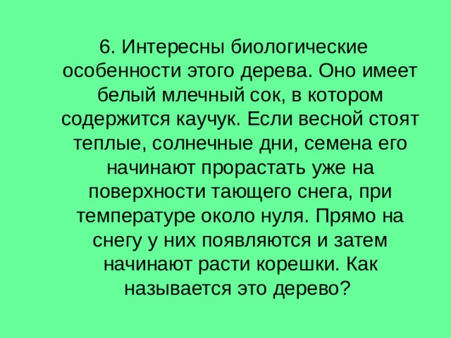  6. Интересны биологические особенности этого дерева. Оно имеет белый млечный сок, в котором содержится каучук. Если весной стоят теплые, солнечные дни, семена его начинают прорастать уже на поверхности тающего снега, при температуре около нуля. Прямо на снегу у них появляются и затем начинают расти корешки. Как называется это дерево? 