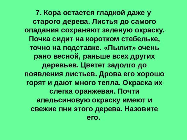  7.  Кора остается гладкой даже у старого дерева. Листья до самого опадания сохраняют зеленую окраску. Почка сидит на коротком стебельке, точно на подставке. «Пылит» очень рано весной, раньше всех других деревьев. Цветет задолго до появления листьев. Дрова его хорошо горят и дают много тепла. Окраска их слегка оранжевая. Почти апельсиновую окраску имеют и свежие пни этого дерева. Назовите его. 