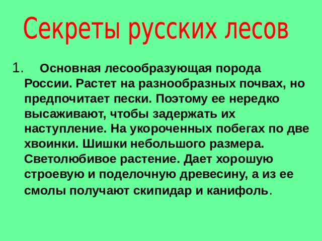 1. Основная лесообразующая порода России. Растет на разнообразных почвах, но предпочитает пески. Поэтому ее нередко высаживают, чтобы задержать их наступление. На укороченных побегах по две хвоинки. Шишки небольшого размера. Светолюбивое растение. Дает хорошую строевую и поделочную древесину, а из ее смолы получают скипидар и канифоль . 