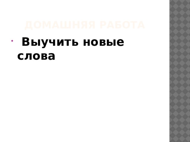 Домашняя работа  Выучить новые слова 