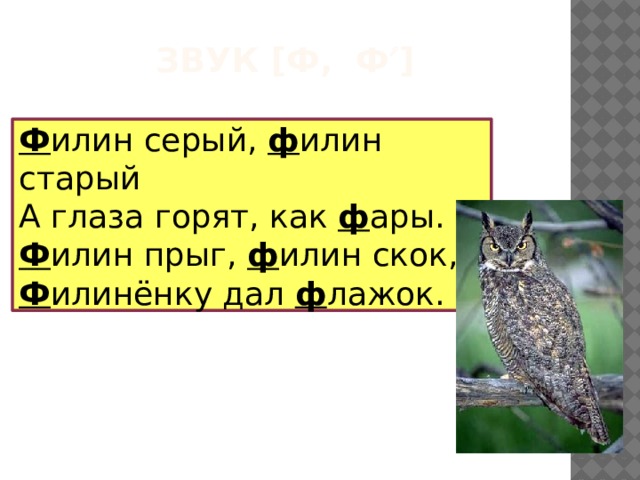 Звук [Ф, ф  ] Ф илин серый, ф илин старый А глаза горят, как ф ары. Ф илин прыг, ф илин скок, Ф илинёнку дал ф лажок. 