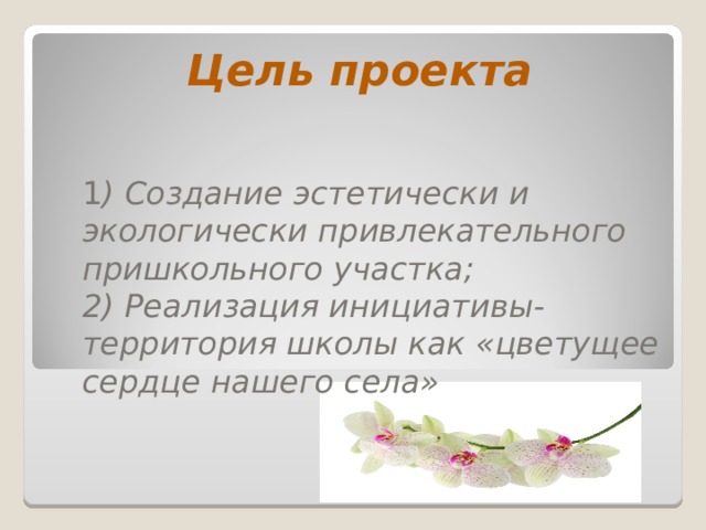 Цель проекта 1 ) Создание эстетически и экологически привлекательного пришкольного участка;  2) Реализация инициативы- территория школы как «цветущее сердце нашего села» 