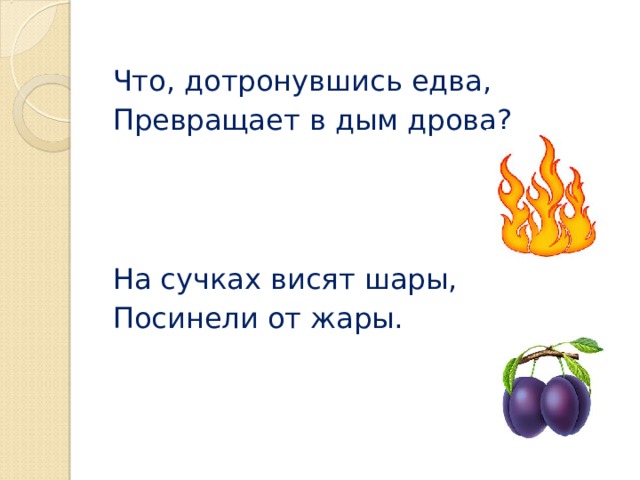 Что дотронувшись едва превращает в дым дрова. На ветвях висят шары посинели от жары. Загадка на ветвях висят шары посинеют от жары. Дым дрова Зеленогорск. На сучках висят