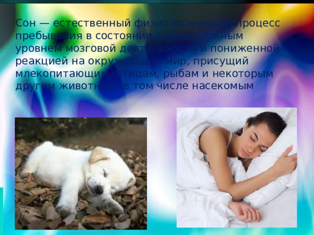 Сон — естественный физиологический процесс пребывания в состоянии с минимальным уровнем мозговой деятельности и пониженной реакцией на окружающий мир, присущий млекопитающим, птицам, рыбам и некоторым другим животным, в том числе насекомым 