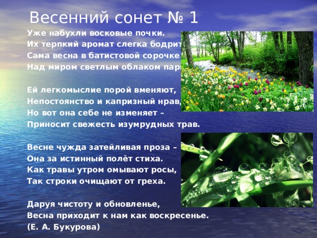  Весенний сонет № 1   Уже набухли восковые почки. Их терпкий аромат слегка бодрит. Сама весна в батистовой сорочке Над миром светлым облаком парит.   Ей легкомыслие порой вменяют, Непостоянство и капризный нрав, Но вот она себе не изменяет – Приносит свежесть изумрудных трав.   Весне чужда затейливая проза – Она за истинный полёт стиха. Как травы утром омывают росы, Так строки очищают от греха.   Даруя чистоту и обновленье, Весна приходит к нам как воскресенье. (Е. А. Букурова)  