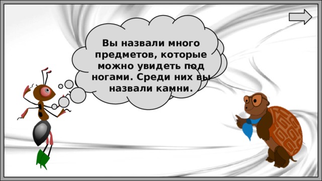 Вы назвали много предметов, которые можно увидеть под ногами. Среди них вы назвали камни. Ребята, как вы думаете,  что можно увидеть под ногами ? 