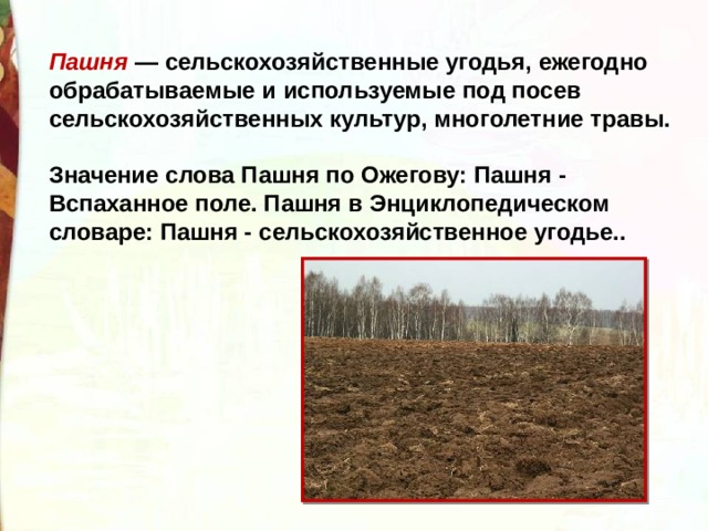 Пашня — сельскохозяйственные угодья, ежегодно обрабатываемые и используемые под посев сельскохозяйственных культур, многолетние травы.  Значение слова Пашня по Ожегову: Пашня - Вспаханное поле. Пашня в Энциклопедическом словаре: Пашня - сельскохозяйственное угодье.. 