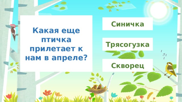 Какая еще птичка прилетает к нам в апреле? Синичка Трясогузка Скворец 