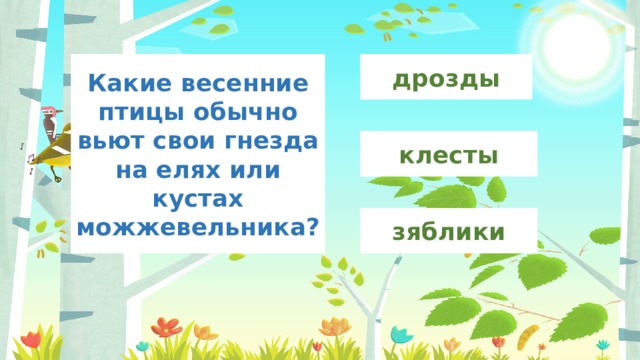 дрозды Какие весенние птицы обычно вьют свои гнезда на елях или кустах можжевельника? клесты зяблики 