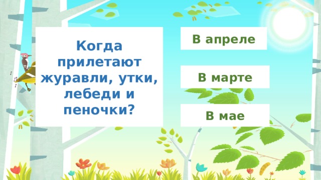 В апреле Когда прилетают журавли, утки, лебеди и пеночки? В марте В мае 