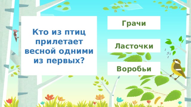 Грачи Кто из птиц прилетает весной одними из первых? Ласточки Воробьи 