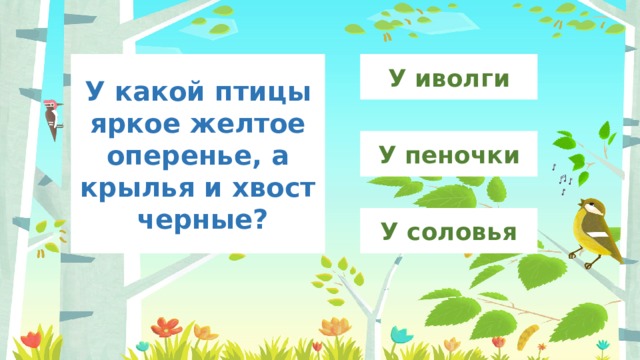 У иволги У какой птицы яркое желтое оперенье, а крылья и хвост черные? У пеночки У соловья 