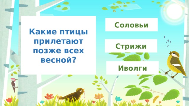Какие птицы прилетают позже всех весной? Соловьи Стрижи Иволги 