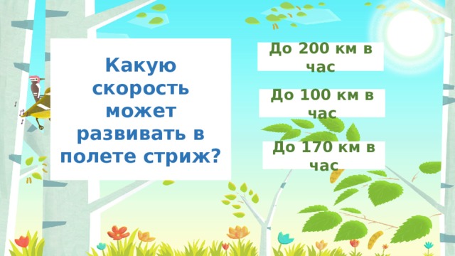 Какую скорость может развивать в полете стриж? До 200 км в час До 100 км в час До 170 км в час 