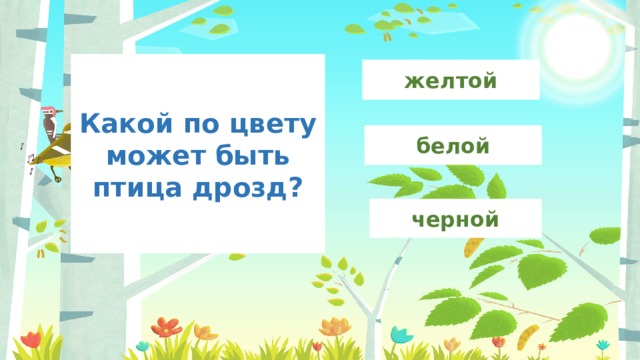 Какой по цвету может быть птица дрозд? желтой белой черной 