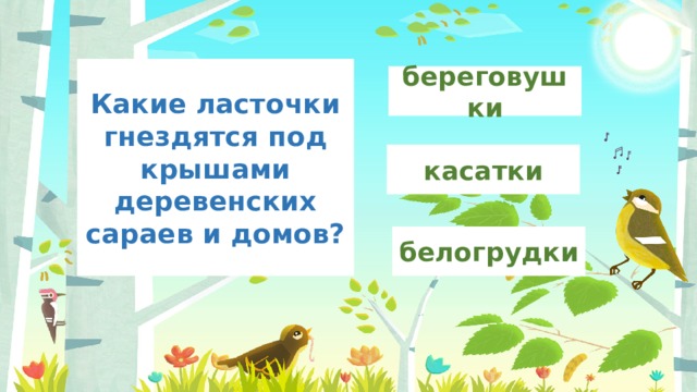 Какие ласточки гнездятся под крышами деревенских сараев и домов? береговушки касатки белогрудки 