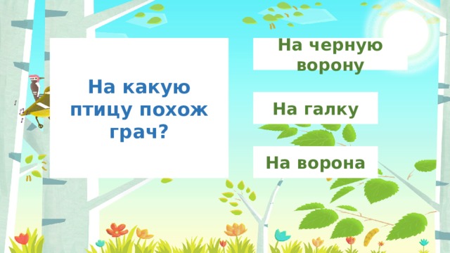 На черную ворону На какую птицу похож грач? На галку На ворона 