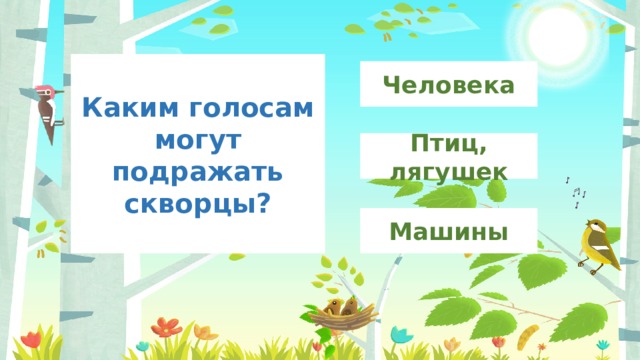 Каким голосам могут подражать скворцы? Человека Птиц, лягушек Машины 