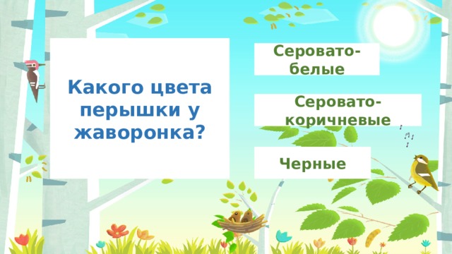 Какого цвета перышки у жаворонка? Серовато-белые Серовато-коричневые Черные 