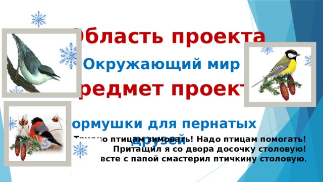 Кормушки для пернатых друзей  Область проекта Окружающий мир Предмет проекта Трудно птицам зимовать! Надо птицам помогать! Притащил я со двора досочку столовую! Вместе с папой смастерил птичкину столовую .  