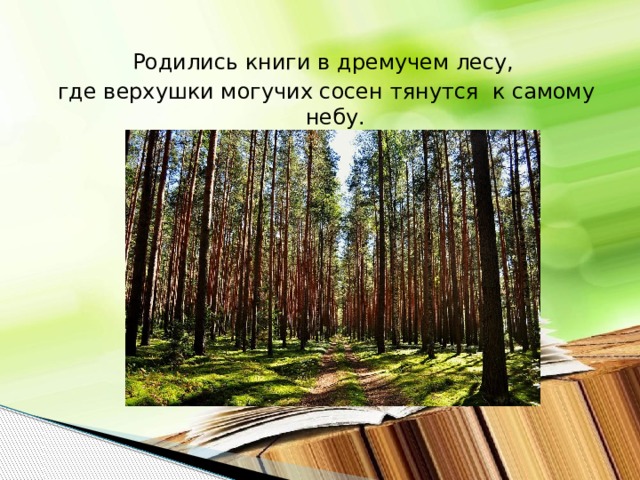 Родились книги в дремучем лесу, где верхушки могучих сосен тянутся к самому небу. 
