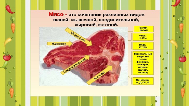 Польза мяса в питании человека презентация