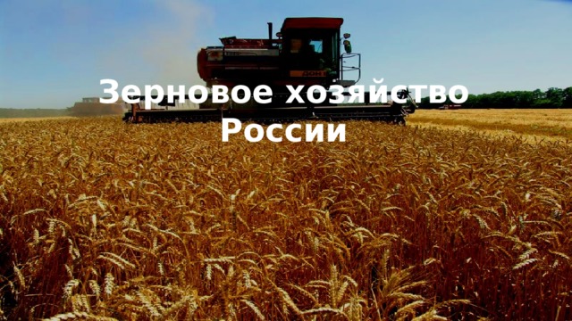   Зерновое хозяйство России 