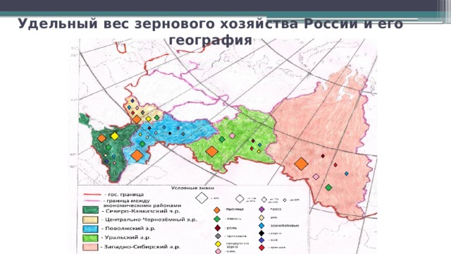 Удельный вес зернового хозяйства России и его география 