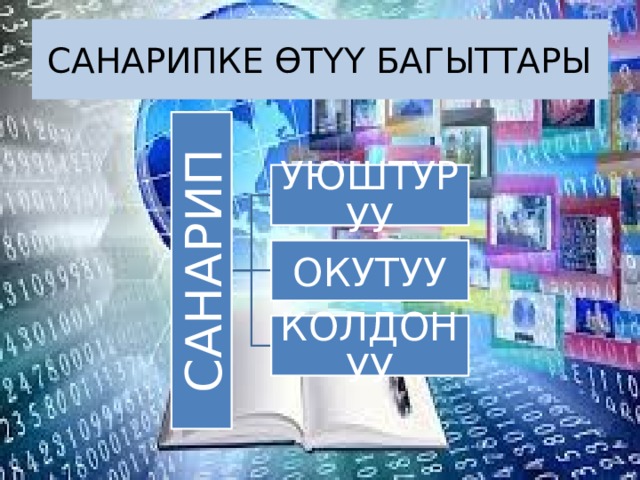 САНАРИП САНАРИПКЕ ӨТҮҮ БАГЫТТАРЫ УЮШТУРУУ ОКУТУУ КОЛДОНУУ 