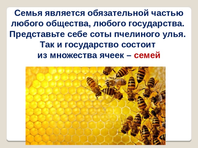 Семья является обязательной частью любого общества, любого государства. Представьте себе соты пчелиного улья. Так и государство состоит из множества ячеек – семей 