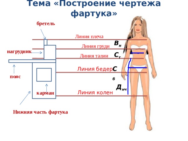 Тема «Построение чертежа фартука»   бретель Линия плеча В н Линия груди нагрудник С т Линия талии С б Линия бедер пояс Д нч Линия колен карман Нижняя часть фартука 