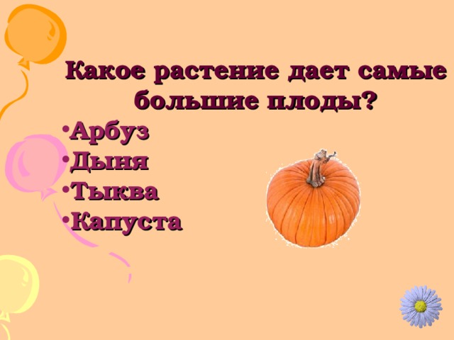 Какое растение дает самые большие плоды? Арбуз Дыня Тыква Капуста 