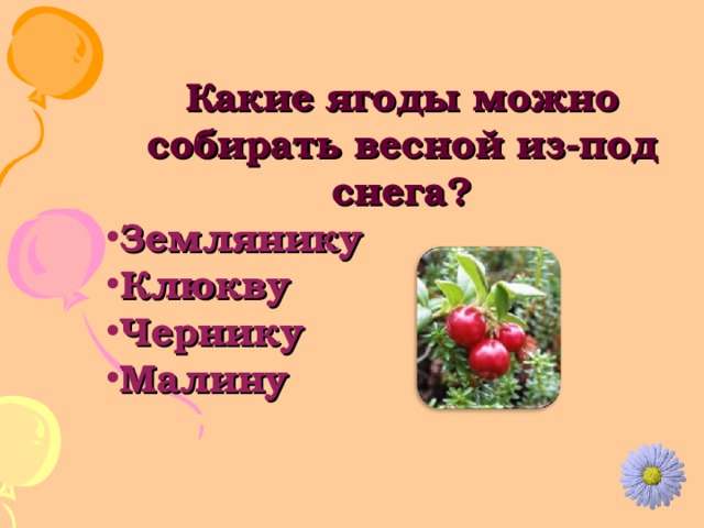 Какие ягоды можно собирать весной из-под снега? Землянику Клюкву Чернику Малину 