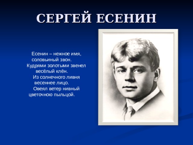 СЕРГЕЙ ЕСЕНИН Есенин – нежное имя, соловьиный звон. Кудрями золотыми звенел весёлый клён. Из солнечного ливня весеннее лицо. Овеял ветер нивный цветочною пыльцой. 