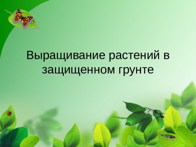 Выращивание растений в защищенном грунте 