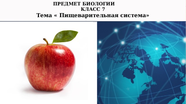 ПРЕДМЕТ БИОЛОГИИ КЛАСС 7 Тема « Пищеварительная система» 