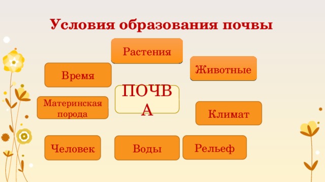 ПОЧВА Условия образования почвы Растения Животные  Время Материнская порода Климат Рельеф Человек Воды 