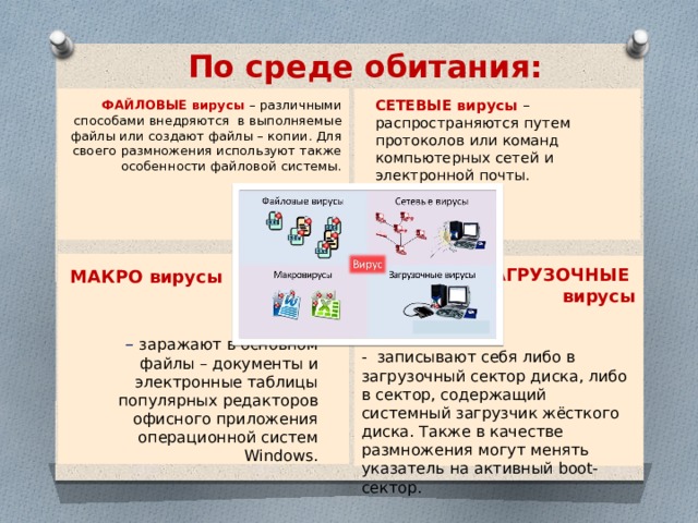 Среда обитания компьютерных вирусов. Среда обитания файловых вирусов. Файловые вирусы могут внедряться. По среде обитания вирусы макровирусы. Среда обитания файловых вирусов.