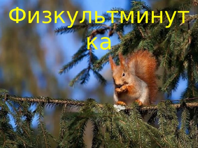 Физкультминутка  