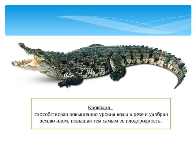 Крокодил  способствовал повышению уровня воды в реке и удобрял землю илом, повышая тем самым ее плодородность. 