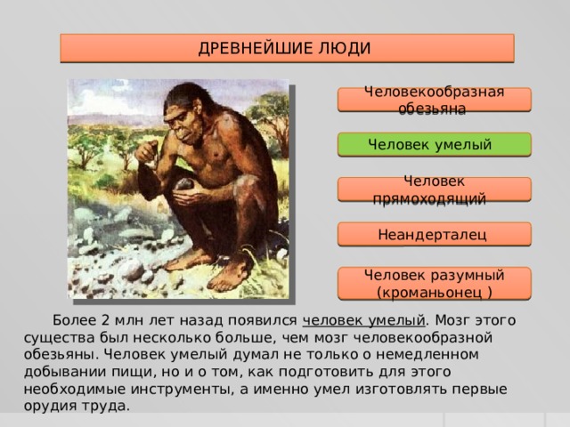 Древние предки человека разумного презентация