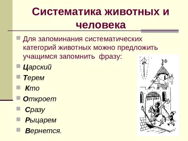 Систематика животных и человека Для запоминания систематических категорий животных можно предложить учащимся запомнить  фразу :  Ц арский  Т ерем   К то  О ткроет   С разу   Р ыцарем   В ернется . 