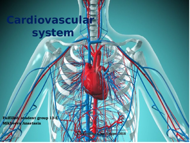 Cardiovascular  system Fulfilled: student group 13 C Mikheeva Anastasia Комсомольск-на-Амуре , 201 8 