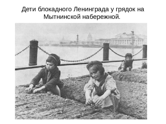 Дети блокадного Ленинграда у грядок на Мытнинской набережной.   