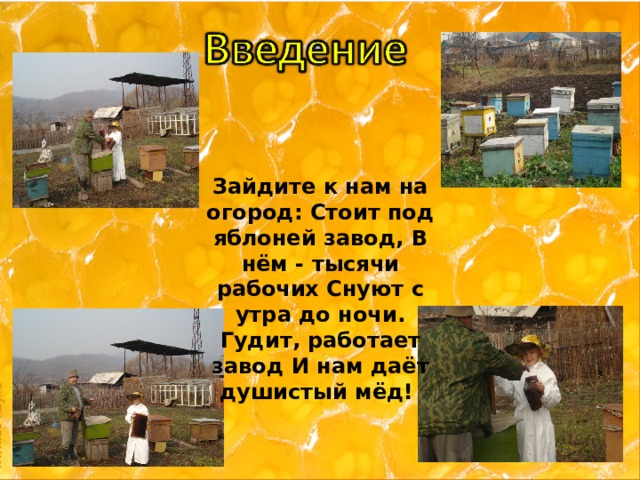 Зайдите к нам на огород: Стоит под яблоней завод, В нём - тысячи рабочих Снуют с утра до ночи. Гудит, работает завод И нам даёт душистый мёд! 