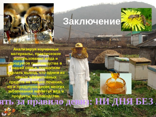 Заключение Анализируя изученные материалы, практическое использование мёда и продуктов пчеловодства в нашей семье, позволили сделать вывод, что одним из самых эффективных средств не только лечения, но и предупреждения многих заболеваний является мёд и продукты пчеловодства. Всем советую взять за правило девиз: НИ ДНЯ БЕЗ ЛОЖКИ МЁДА! 