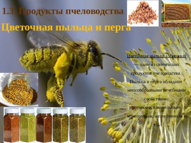1.3. Продукты пчеловодства  Цветочная пыльца и перга Цветочная пыльца (обножка) — один из ценнейших продуктов пчеловодства.  Пыльца и перга обладают многообразными лечебными свойствами: противовоспалительным, мочегонным, желчегонным и т.д . 