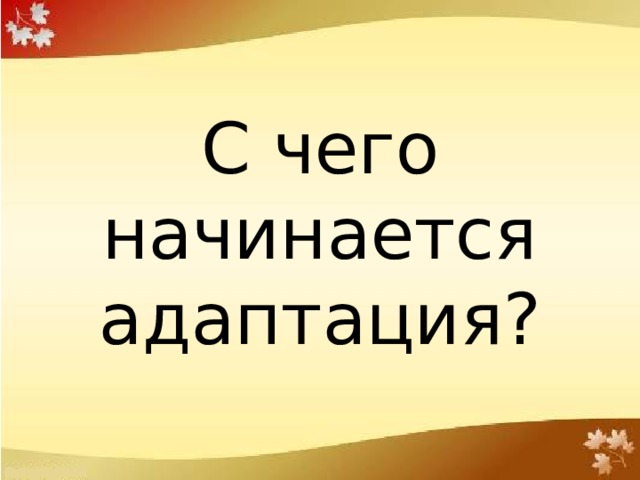 С чего начинается адаптация? 